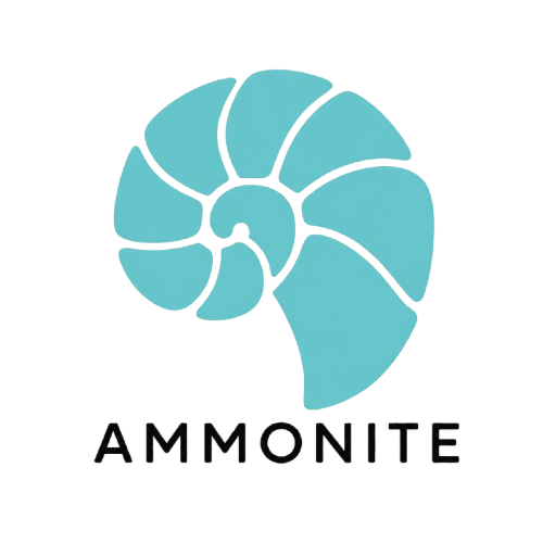 Ammonite
